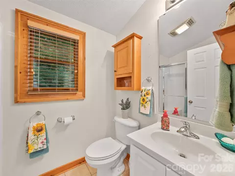 Bath - 185 Blue Bird Ln, Spruce Pine, NC 28777 photo 3 of 5