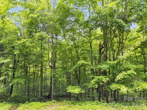 65 Bee Tree Ln, Mars Hill, NC 28754 photo 2
