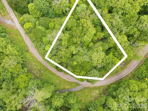 65 Bee Tree Ln, Mars Hill, NC 28754 photo 4