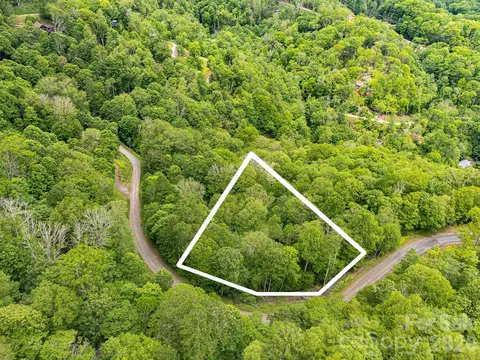65 Bee Tree Ln, Mars Hill, NC 28754 photo 3