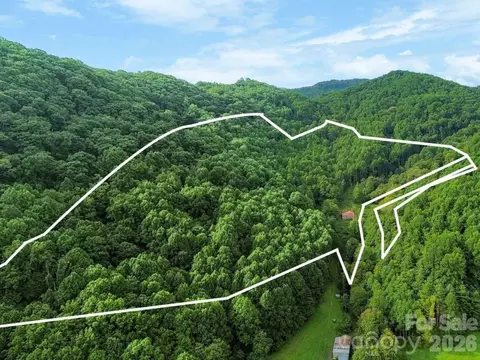 Other - 1545 N Fork Rd, Marshall, NC 28753 photo 19 of 19