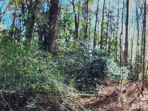00 S Rollins Dr, Kershaw, SC 29067