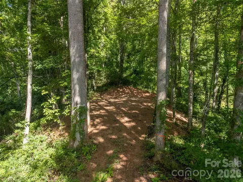Claude Cook Road, Sylva, NC 28779 photo 6