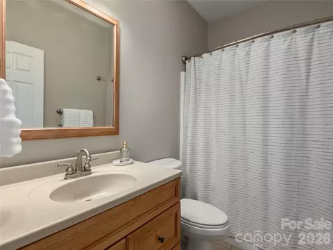 Bath - 314 Summerset Dr, Clyde, NC 28721 photo 4 of 5