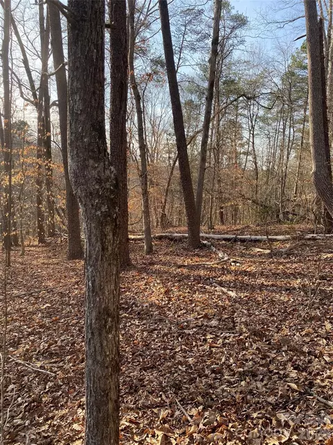 0 Hugh Champion Rd, Tryon, NC 28782 photo 3