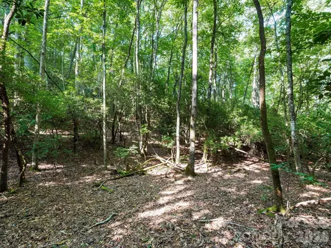 309 Flying Cloud Ln, Fairview, NC 28730 photo 12