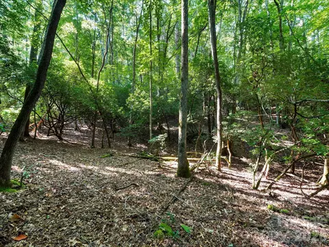 309 Flying Cloud Ln, Fairview, NC 28730 photo 8
