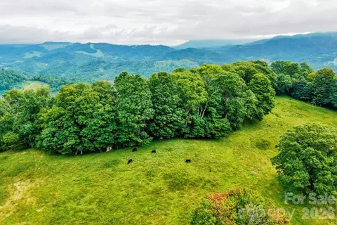 Vaughn Potter Road, Zionville, NC 28698