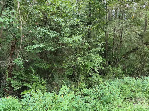 Meadowbrook Circle, Brevard, NC 28712 photo 14