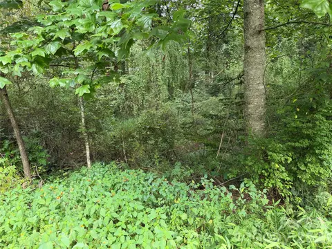 Meadowbrook Circle, Brevard, NC 28712 photo 3