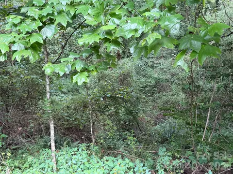 Meadowbrook Circle, Brevard, NC 28712 photo 8