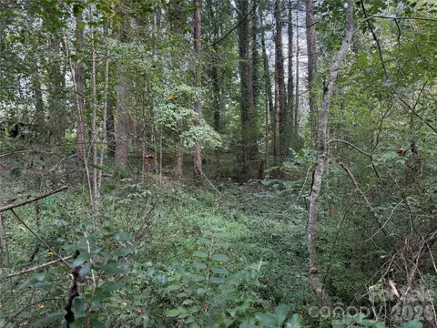 Meadowbrook Circle, Brevard, NC 28712 photo 11