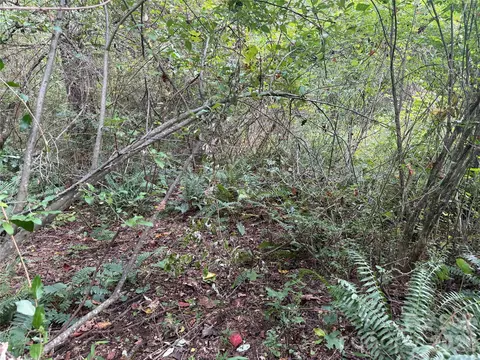 Meadowbrook Circle, Brevard, NC 28712 photo 10