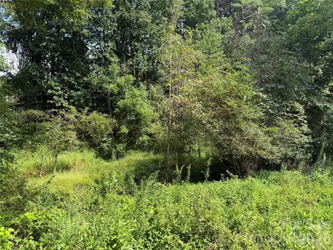 Meadowbrook Circle, Brevard, NC 28712 photo 5