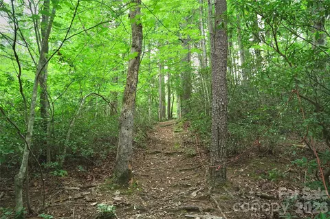 3 S Pointe Rd, Mill Spring, NC 28756 photo 4