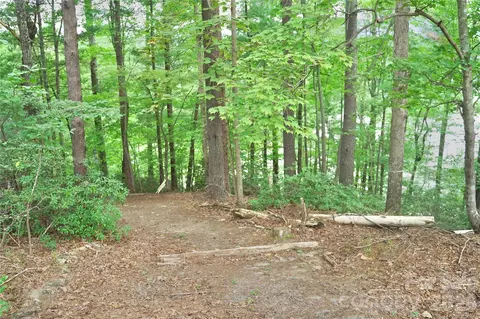 3 S Pointe Rd, Mill Spring, NC 28756 photo 6