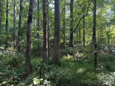 Sincerity Road, Monroe, NC 28110 photo 12