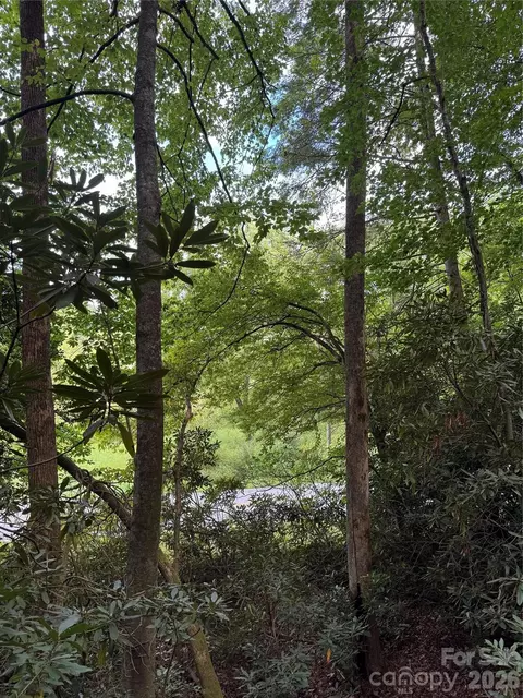 000 Wilson Rd, Pisgah Forest, NC 28768