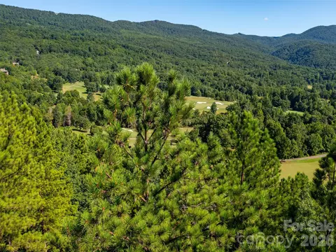 Other - 2026 Deep Gap Farm E Rd E, Mill Spring, NC 28756 photo 14 of 18