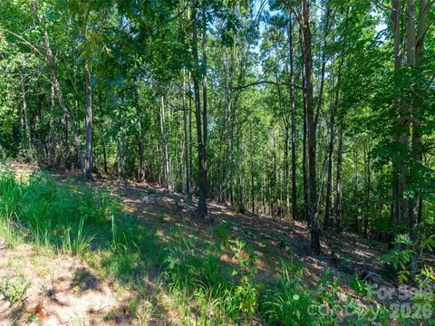 Other - 2026 Deep Gap Farm E Rd E, Mill Spring, NC 28756 photo 11 of 18