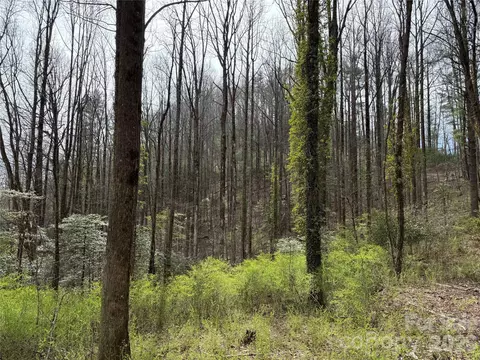 L8 Black Bear Court, Sapphire, NC 28774
