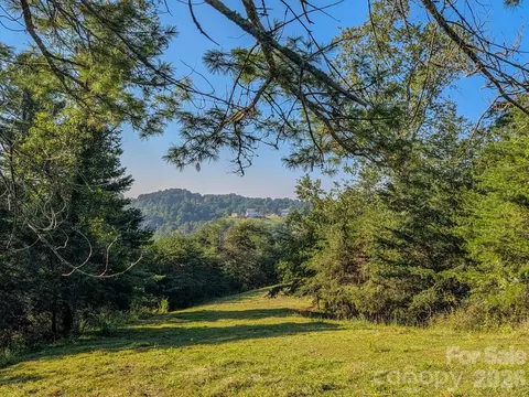 99999 Boulder Rd, Marshall, NC 28753 photo 37