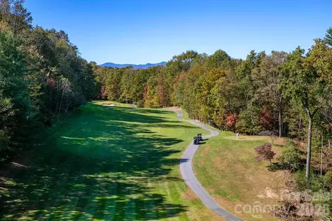Usdasdi Drive, Brevard, NC 28712 photo 10