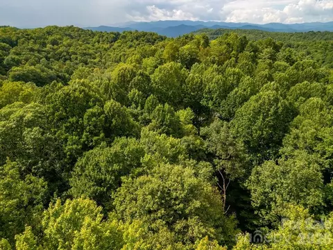 Usdasdi Drive, Brevard, NC 28712 photo 5