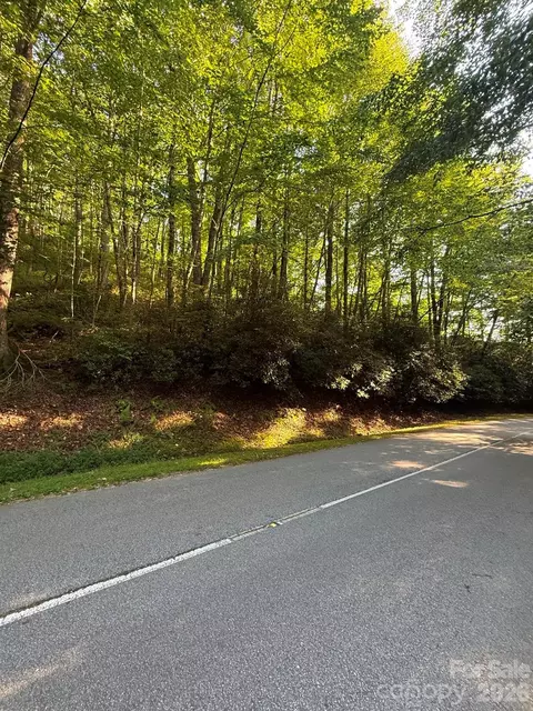 Usdasdi Drive, Brevard, NC 28712 photo 8