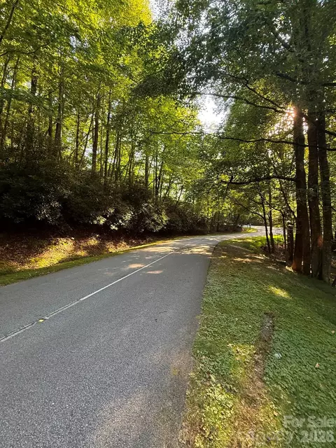 Usdasdi Drive, Brevard, NC 28712 photo 7