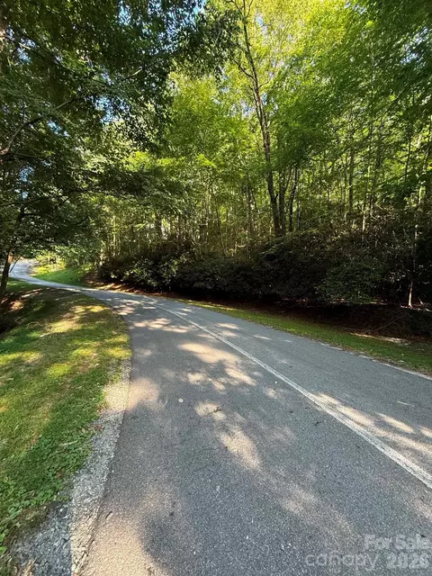 Usdasdi Drive, Brevard, NC 28712 photo 6