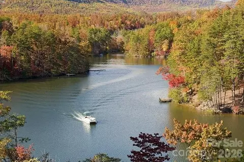 View/Area - 1237 S Cove Rd, Mill Spring, NC 28756 photo 8 of 8