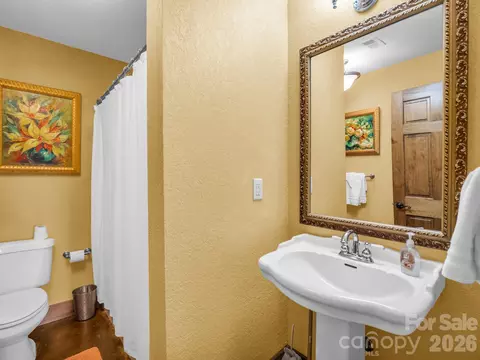 Bath - 1237 S Cove Rd, Mill Spring, NC 28756 photo 4 of 4