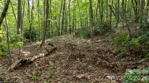 Hogback Mountain 1 Road #1, Tryon, NC 28782 photo 16