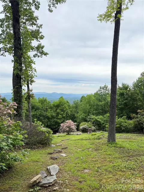 Hogback Mountain 2 Road #2, Tryon, NC 28782 photo 24