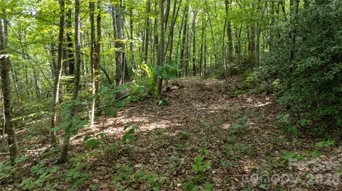 Hogback Mountain 3 Road #3, Tryon, NC 28782 photo 20