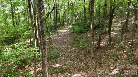 Hogback Mountain 3 Road #3, Tryon, NC 28782 photo 15