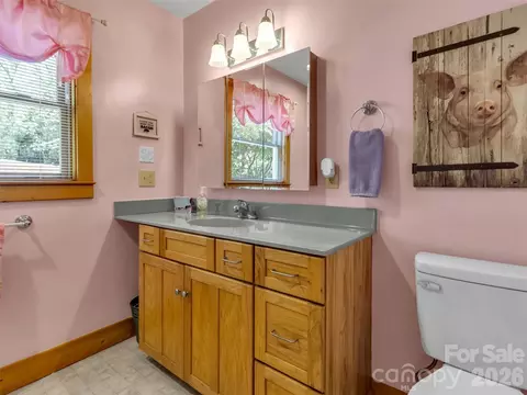 Bath - 136 Buchanan Loop, Sylva, NC 28779 photo 3 of 6