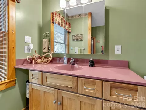 Bath - 136 Buchanan Loop, Sylva, NC 28779 photo 5 of 6