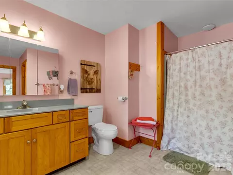 Bath - 136 Buchanan Loop, Sylva, NC 28779 photo 2 of 6