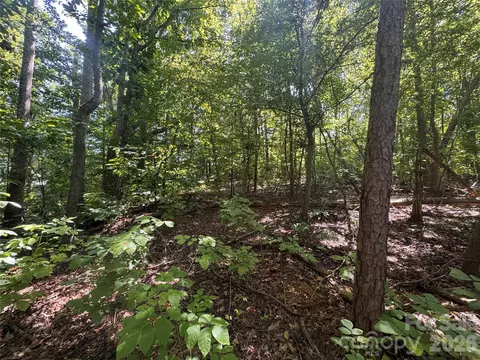 3924 Deer Run Ne Dr NE, Conover, NC 28613 photo 16