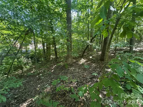 3924 Deer Run Ne Dr NE, Conover, NC 28613 photo 14
