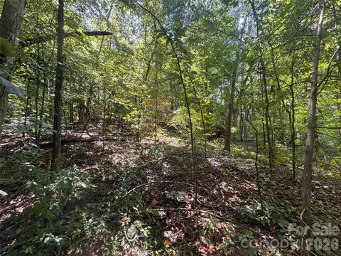 3924 Deer Run Ne Dr NE, Conover, NC 28613 photo 15