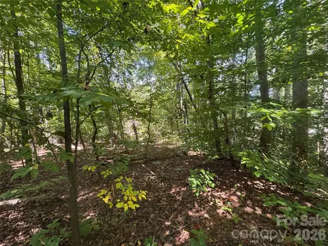 3924 Deer Run Ne Dr NE, Conover, NC 28613 photo 21