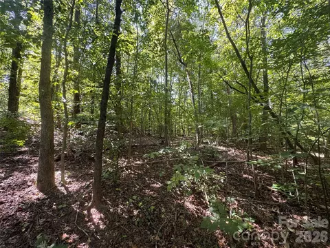 3924 Deer Run Ne Dr NE, Conover, NC 28613 photo 20