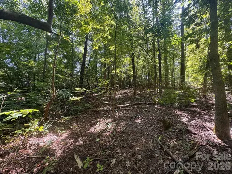 3924 Deer Run Ne Dr NE, Conover, NC 28613 photo 19
