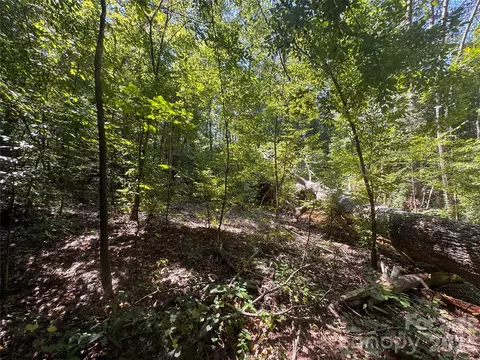 3924 Deer Run Ne Dr NE, Conover, NC 28613 photo 13