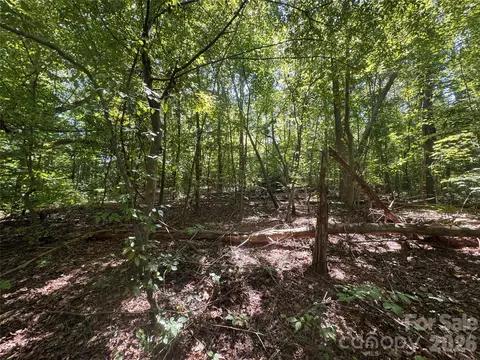 3924 Deer Run Ne Dr NE, Conover, NC 28613 photo 17
