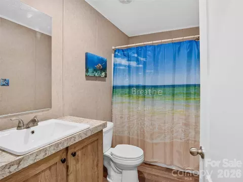 Bath - 117 Eade Rd, Etowah, NC 28729 photo 3 of 3