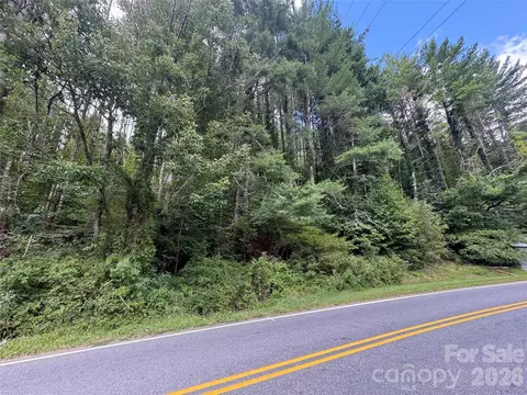 000 Puncheon Fork Rd, Mars Hill, NC 28754 photo 10